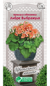 Примула Либре Выбражуля
