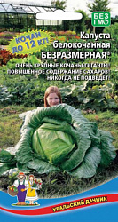 kapusta-belokochannaya-bezrazmernaya