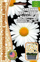 Нивянник Мадонна