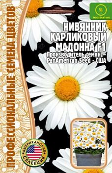 Нивянник Мадонна