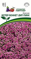 Алиссум истер боннет дип пинк