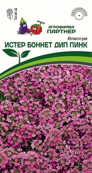 Алиссум истер боннет дип пинк