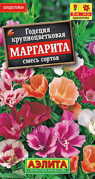 Годеция Маргарита, смесь сортов_ЦП