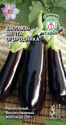 baklazhan_mechta_ogorodnika