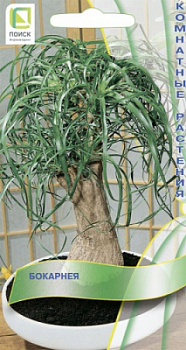 bokarneya