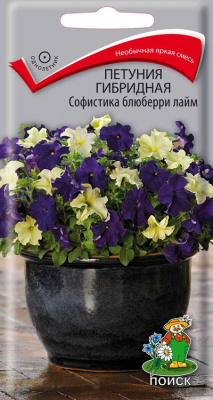 Петуния гибридная Софистика блюберри лайм