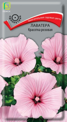 lavatera_krasotka_rozovaya
