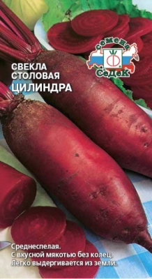 svekla_tsilindra