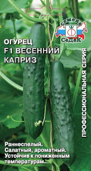 Огурец весенний каприз