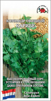 Кориандр Карибе