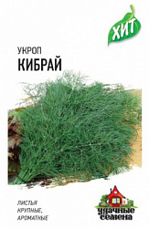 Кибрай