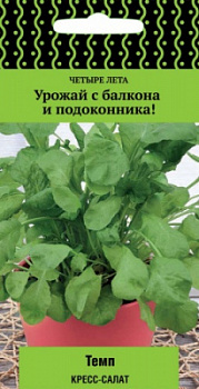 kress_salat_temp