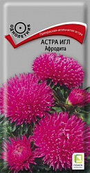 astra_igl_afrodita