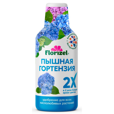 Pyshnaya-gortenziya