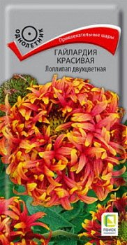 gailardia_lollylap_dvuhcvet