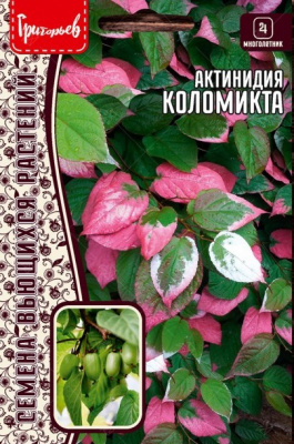 Актинидия Коломикта