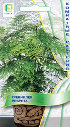 grevilleya_robusta