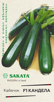 Кабачок Кандела