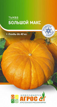 Тыква Большой максqNV0005724x-st