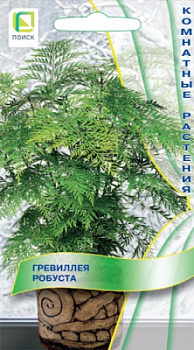 grevilleya_robusta