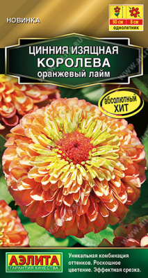 Цинния Королева оранжевый лайм