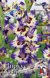 Gladiolus Circus Club