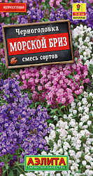 Черноголовка