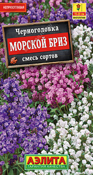 Черноголовка