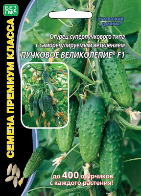 ogurec-kornishon-superpuchkovogo-tipa-zavyazey-puchkovoe-velikolepie-f1