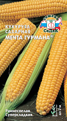 kukuruza_mechta_gurmana