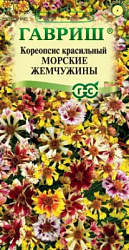 Кореопсис Морские жемчужины