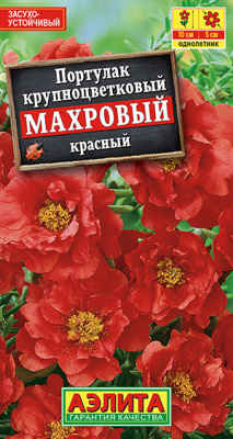 Портулак махровый красный_ЦП