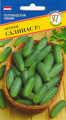 Огурец салинас