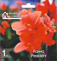 Канна President