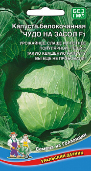 kapusta-belokochannaya-chudo-na-zasol-f1