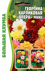 georgina_karlikovaja_opera_miks-750x750
