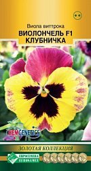 Виола виттрока Виолончель Клубничка