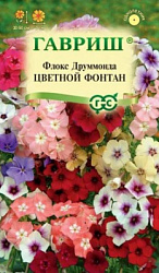 Флокс цветной фонтан