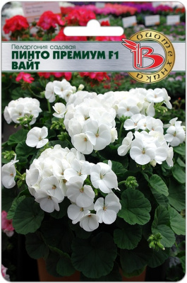 премиум вайт