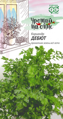 Кориандр Дебют