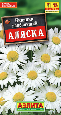 Нивяник наибольший Аляска_ЦП