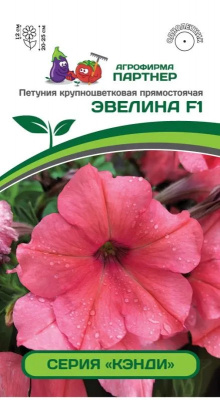 Петуния эвелина