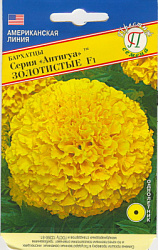 Барахатцы антигуа золотистые