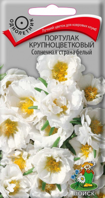 Портулак крупноцветковый Солнечная страна белый