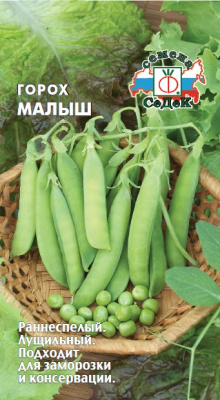 gorokh_malysh