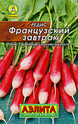 Редис Французский завтрак_Лидер