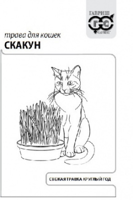 Скакун