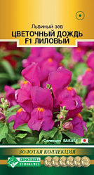 Львиный зев Цветочный Дождь Лиловый