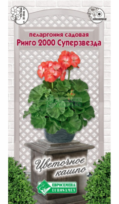 Пеларгония Ринго 2000 Супер Звезда садовая