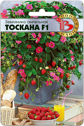 Тоскана